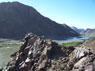 hamerkop view
